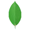 MongoDB